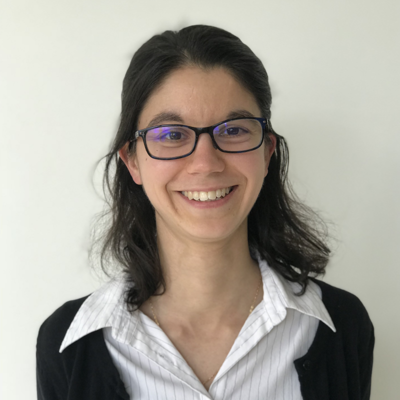 Diana Iovan Joins the Faculty